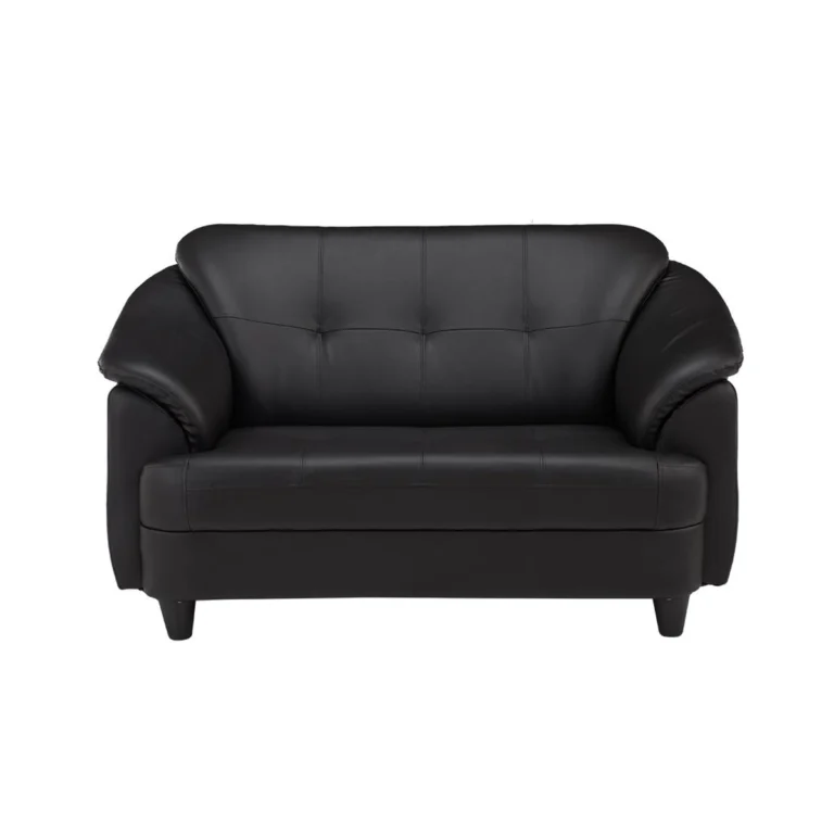 Fiona Leatherette | 2 Seater Sofa in Eerie Black